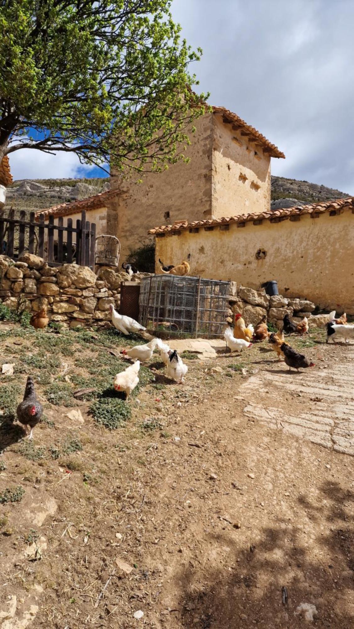 La Casa Del Bosque Βίλα Alcalá de la Selva Εξωτερικό φωτογραφία